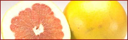 grapefruit banner