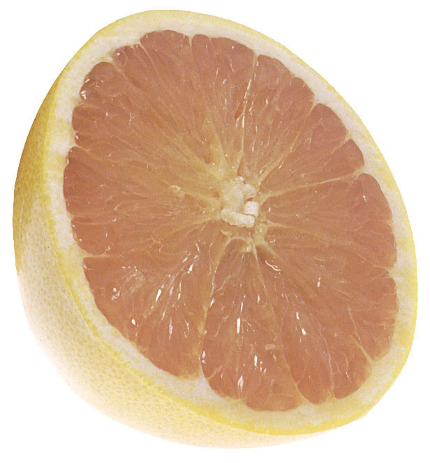 grapefruit half large