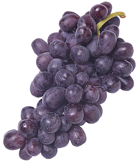grapes 6