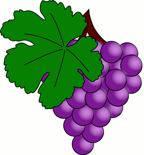 grapes on vine 2