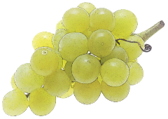 green grape bunch 240