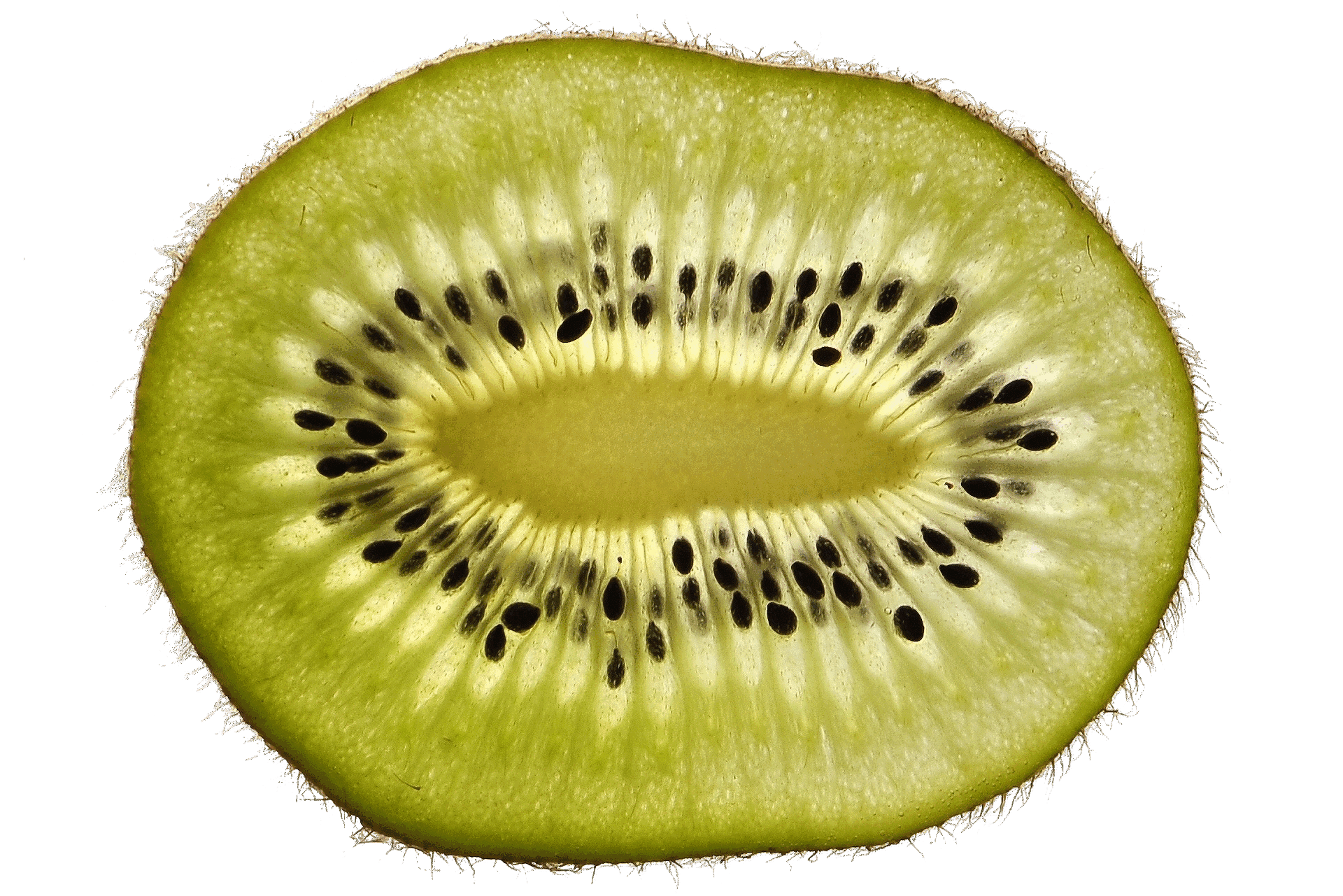 kiwi-halved