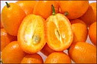 kumquat 2