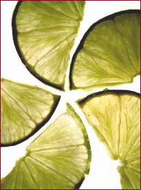 lime wedges 2