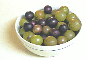 muscadines small