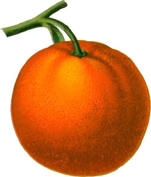 orange on stem