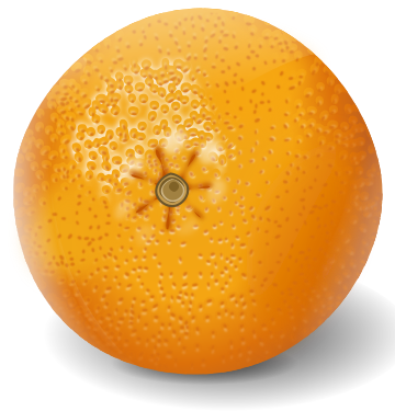 orange realistic clipart
