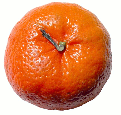 tangerine photo