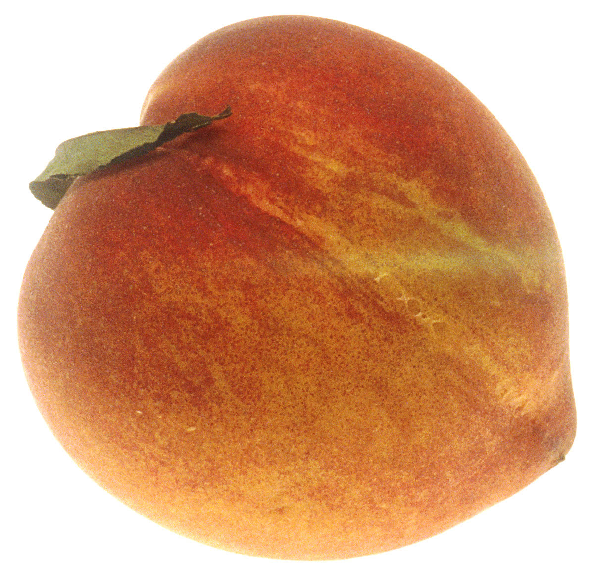 peach large