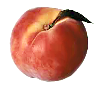 peach picture