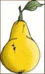 pear 1