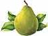 pear green anjou