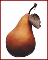 pear plain