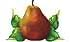 pear seckel