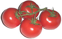 cherry tomatoes 4