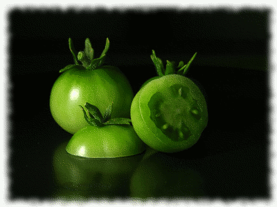 green tomatoes picture