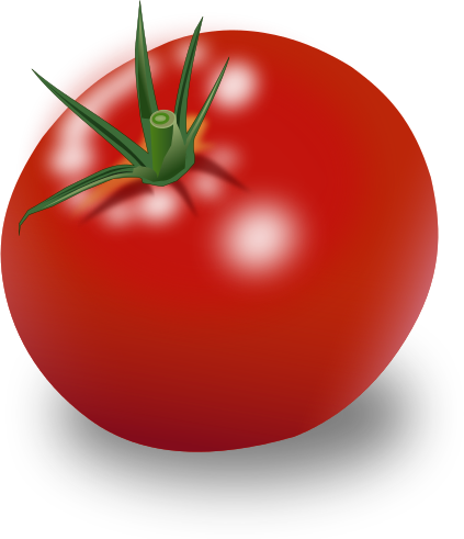 tomato ripe