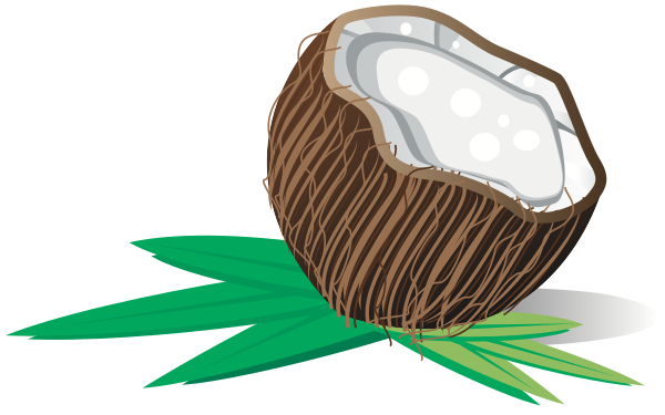 coconut open