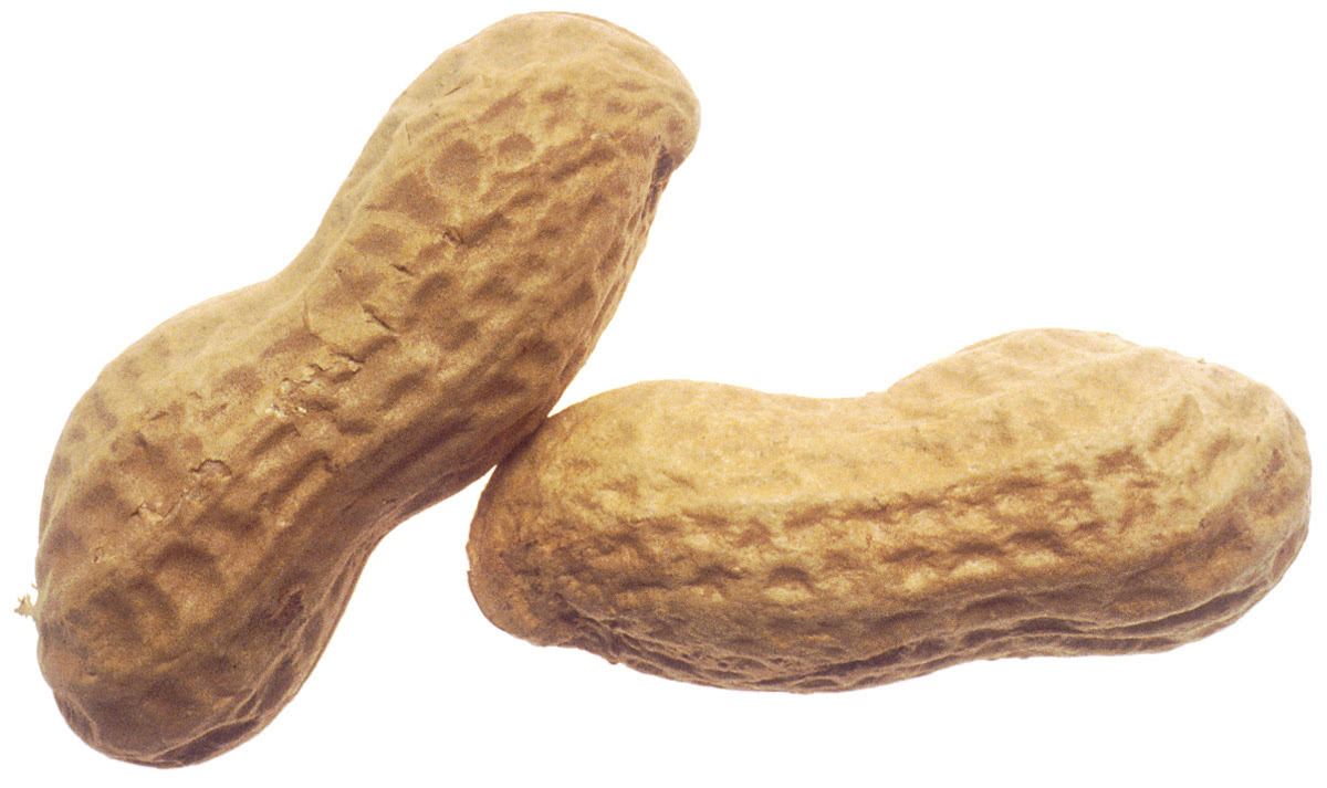 peanuts large