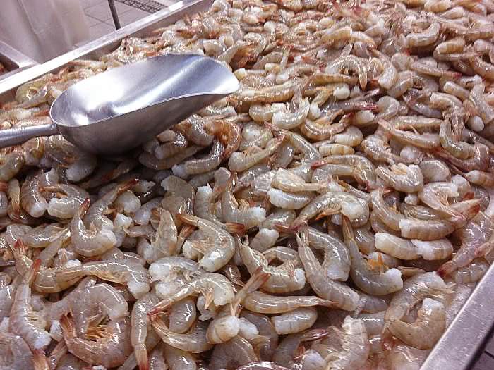 shrimp at market