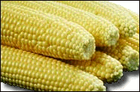corn/