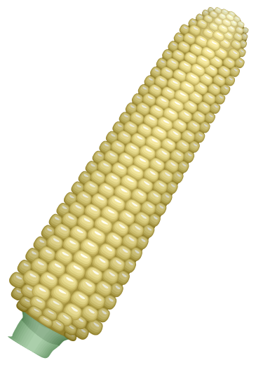 corn cob clean