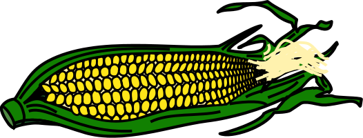 corn on cob 2