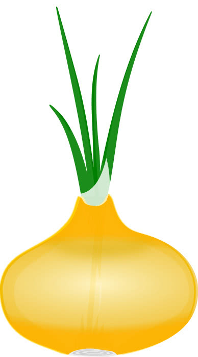 spring onion clipart - photo #25