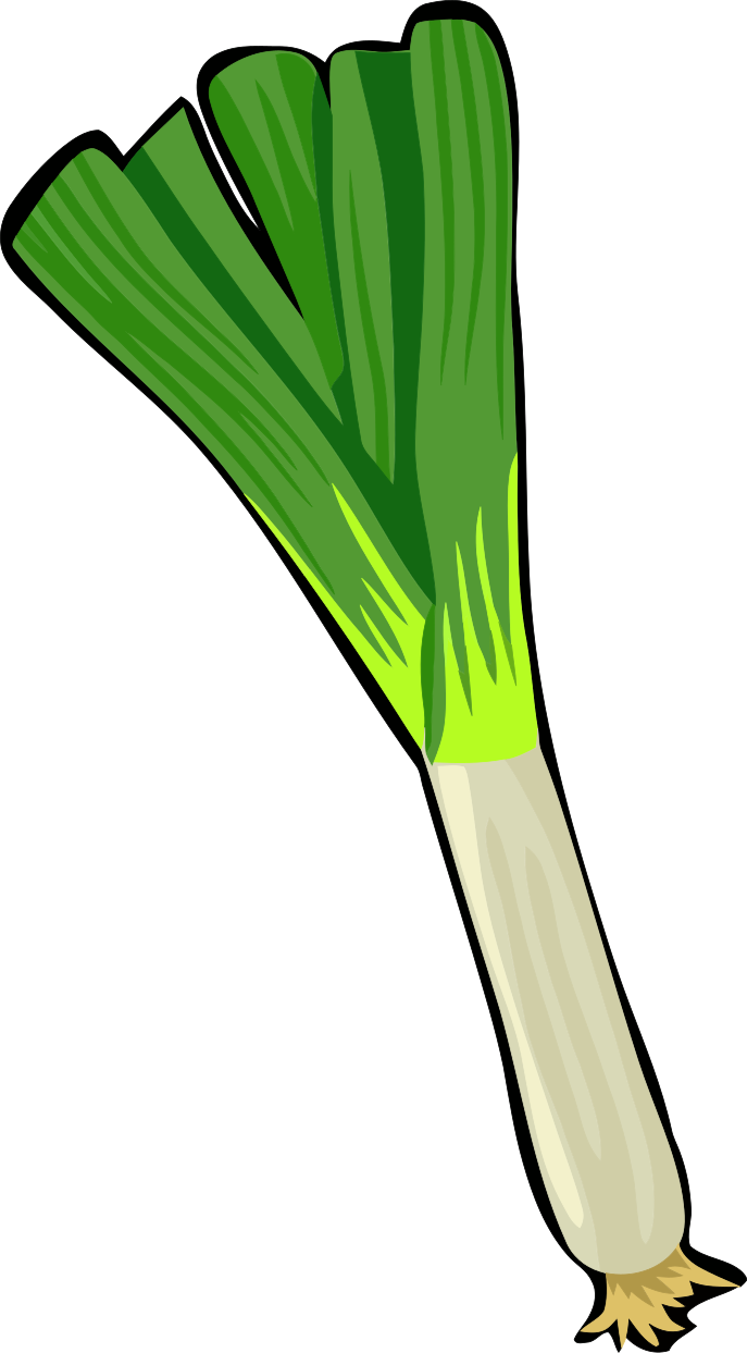 green onion 2