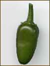 chili jalapeno