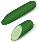 zucchini/