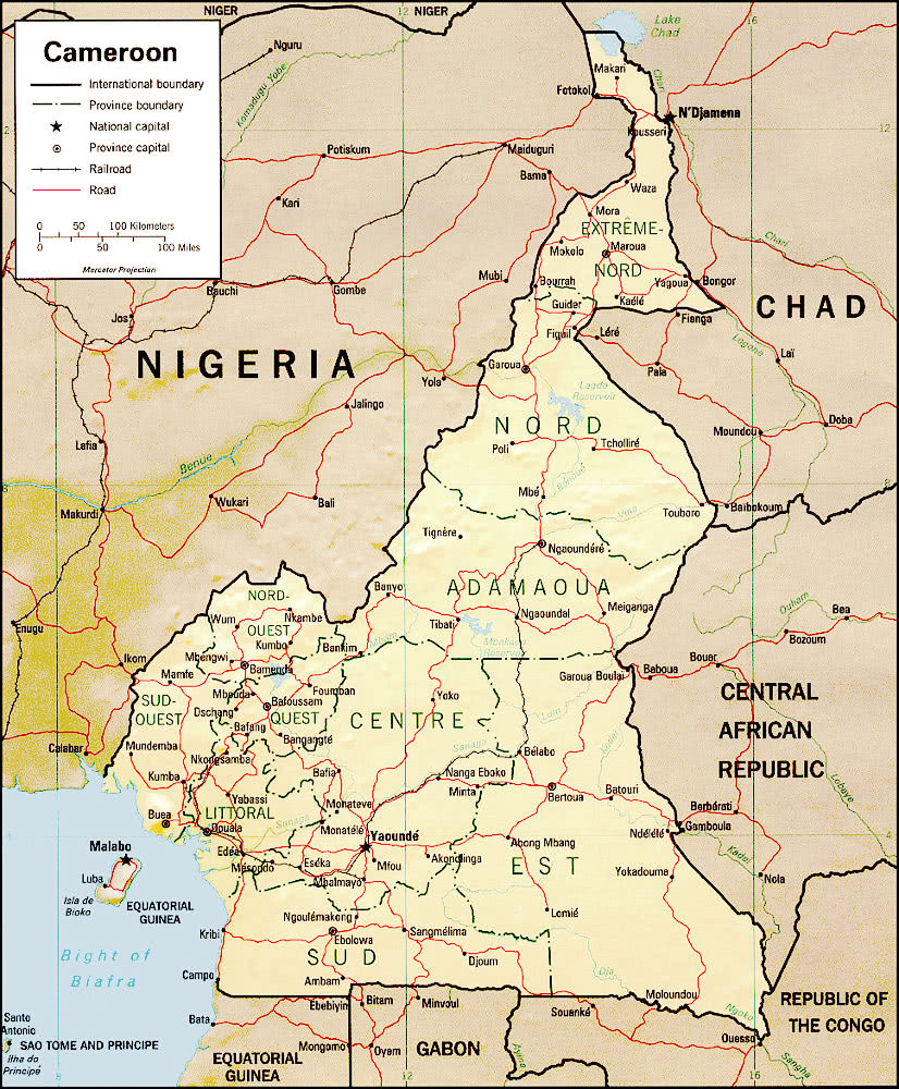 Cameroon_relief_map