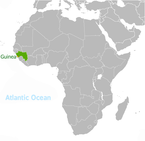 Guinea location label