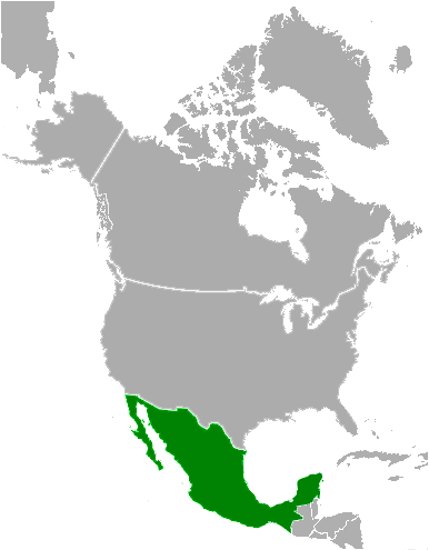 Mexico location