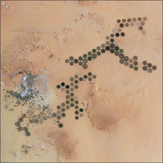 Al Khufrah Oasis  Libya