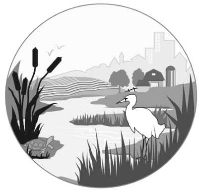 wetland ecology