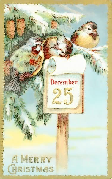Christmas date on sign with birds