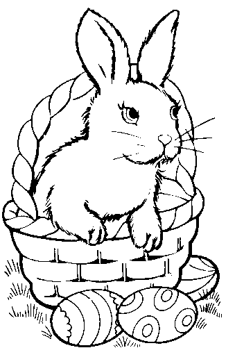 bunny in basket