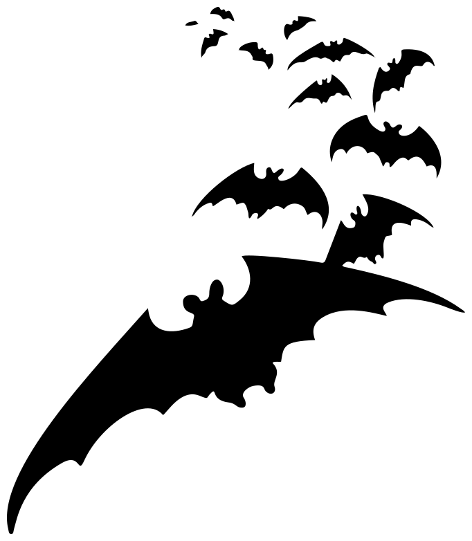 bats flying 3
