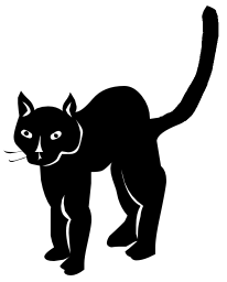 black cat 5
