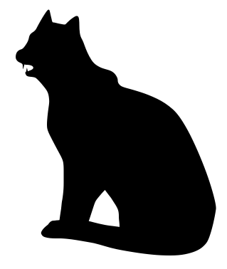 black cat sitting