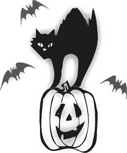 scary cat on pumpkin