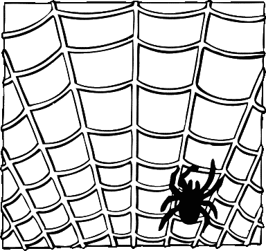spider on a web BW