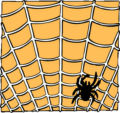 spider on a web orange