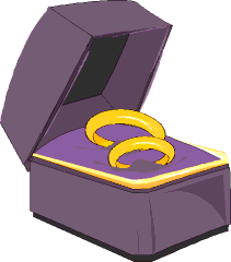 wedding bands in open box