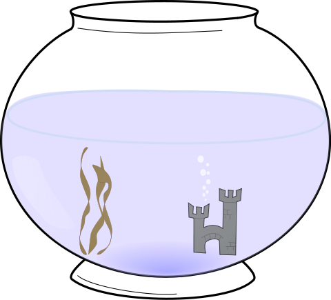 fishbowl 2