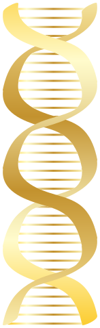 DNA icon gold