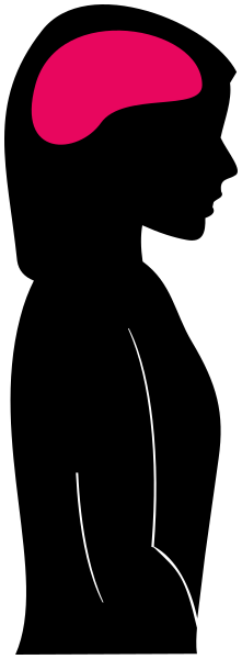 brain female silhouette