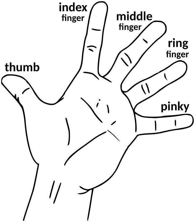 hand fingers label