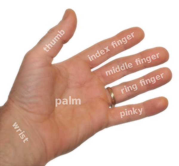 hand parts